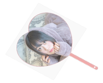 OPP袋入