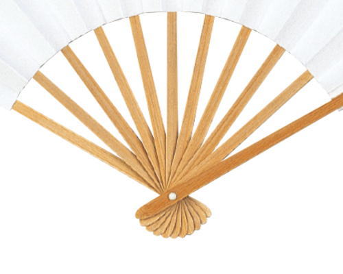 扇子骨・白竹イメージ